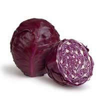 Rotkohl